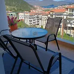 αλόη